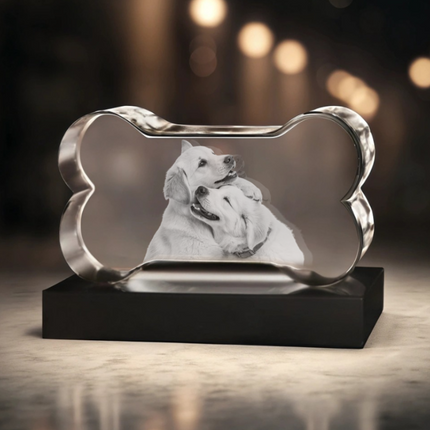 Personalized Crystal 3D Photo Bone
