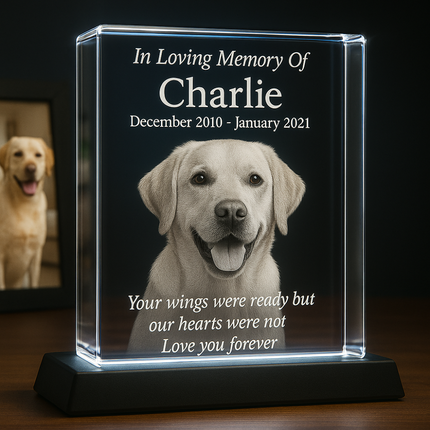 Personalized Pet Memorial Plaque 3d Crystal Photo