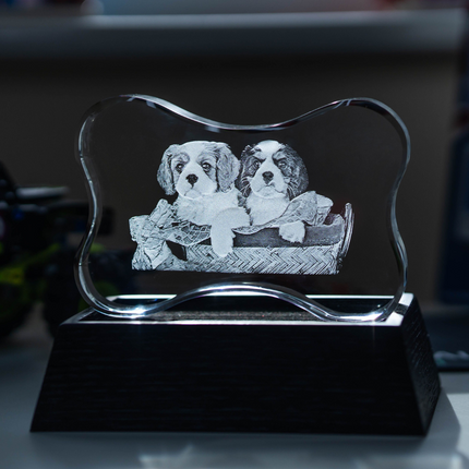 Personalized Crystal 3D Photo Bone