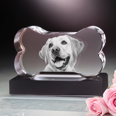 Personalized Crystal 3D Photo Bone